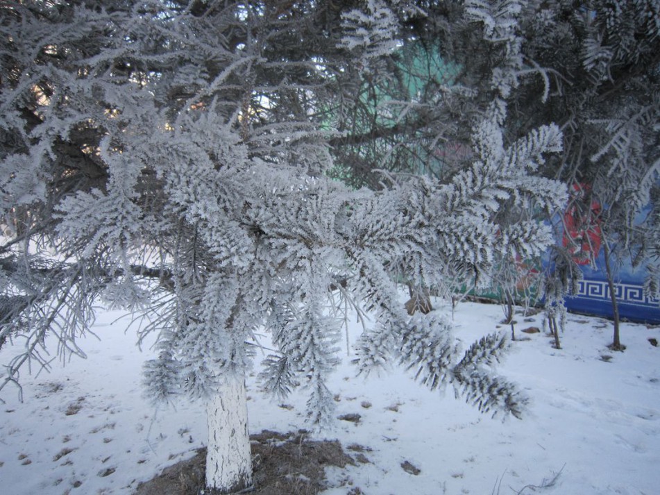 IMG_0020.JPG
