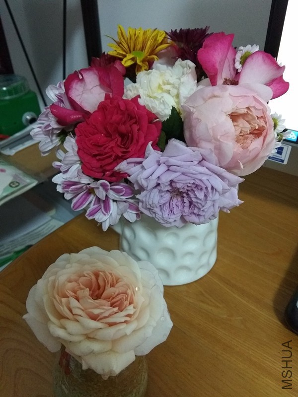 005_����.jpg