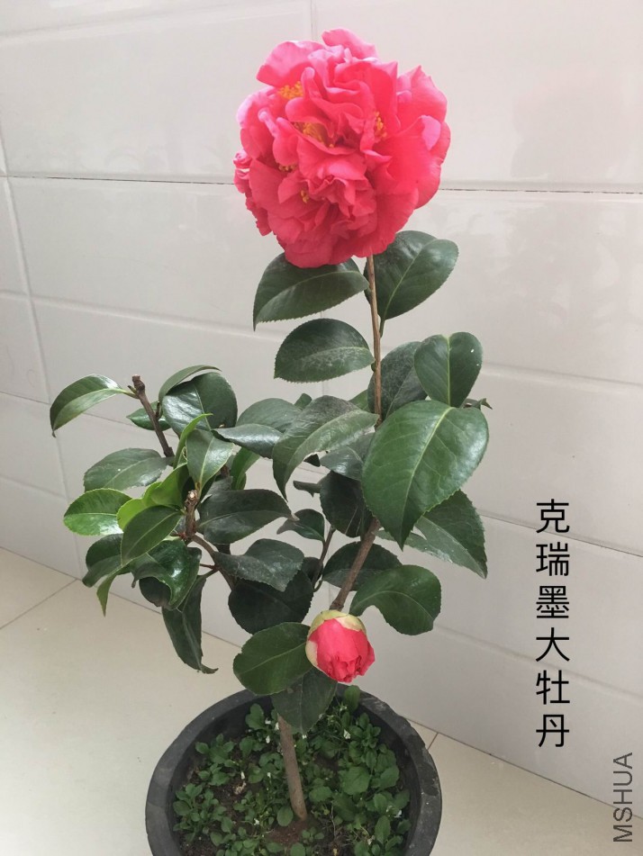 ��Ƭ 027.jpg