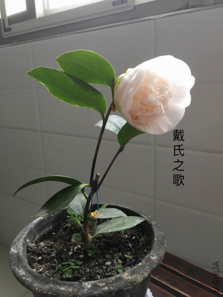 ��Ƭ 041.jpg
