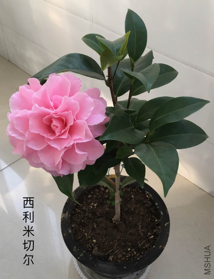 ��Ƭ 069.jpg