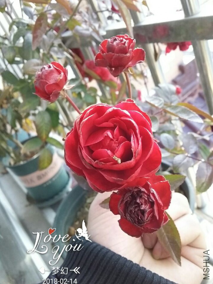 QQͼƬ20180214092332.jpg