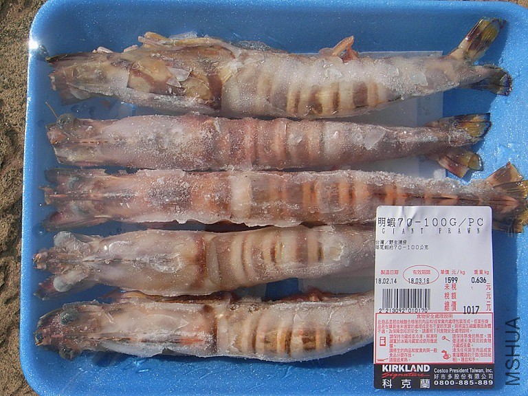 0001-1.jpg