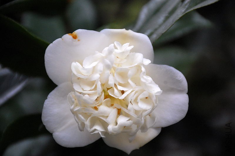 DSC_17050354.JPG