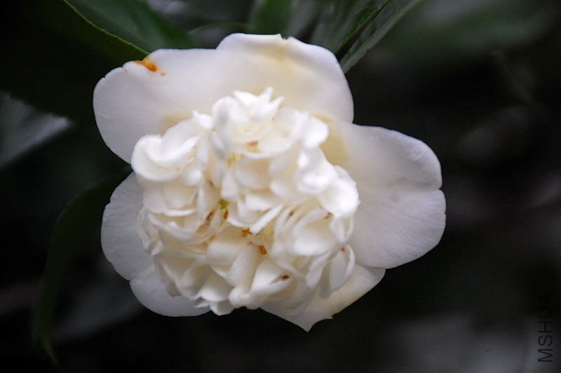DSC_17040353.JPG