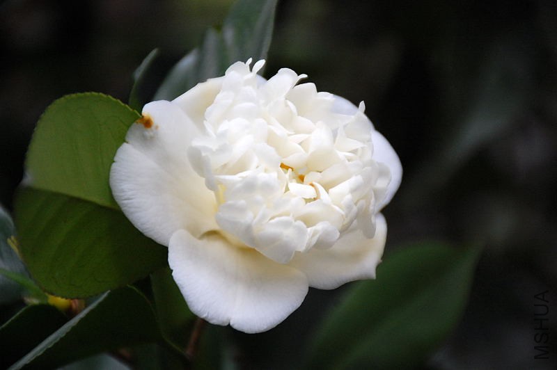 DSC_16500298.JPG
