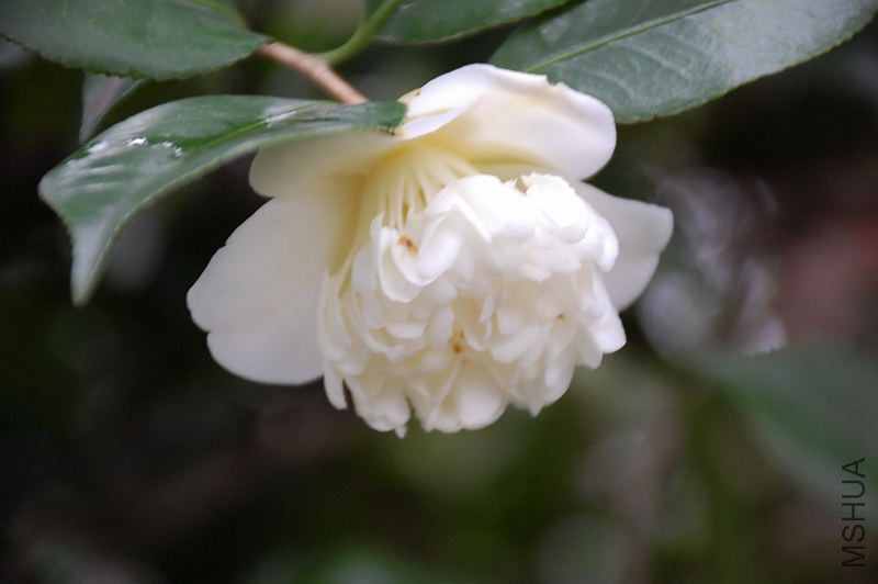 DSC_17180368.JPG