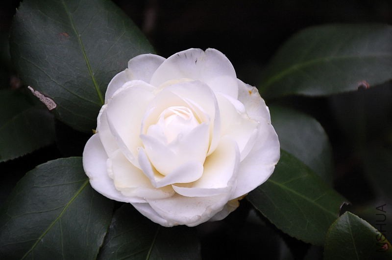 DSC_15140161.JPG