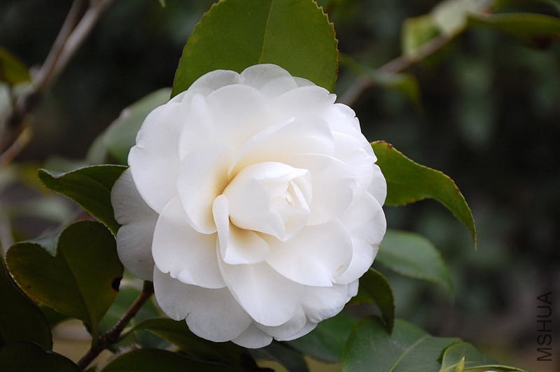 DSC_13910038.JPG