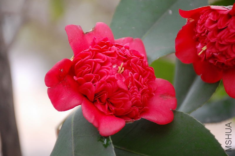 DSC_14090056.JPG