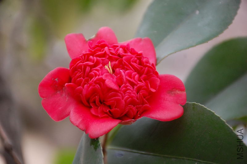 DSC_14110058.JPG
