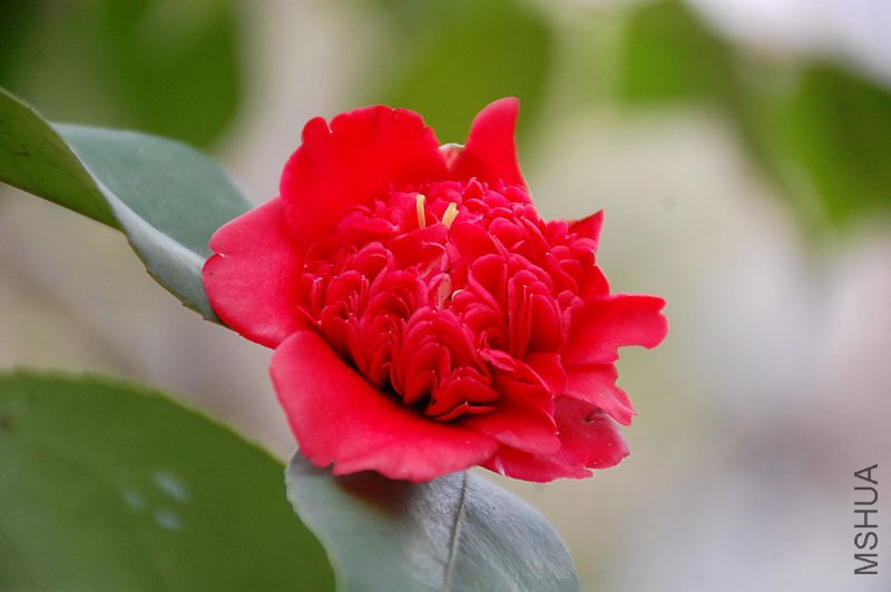 DSC_14260073.JPG