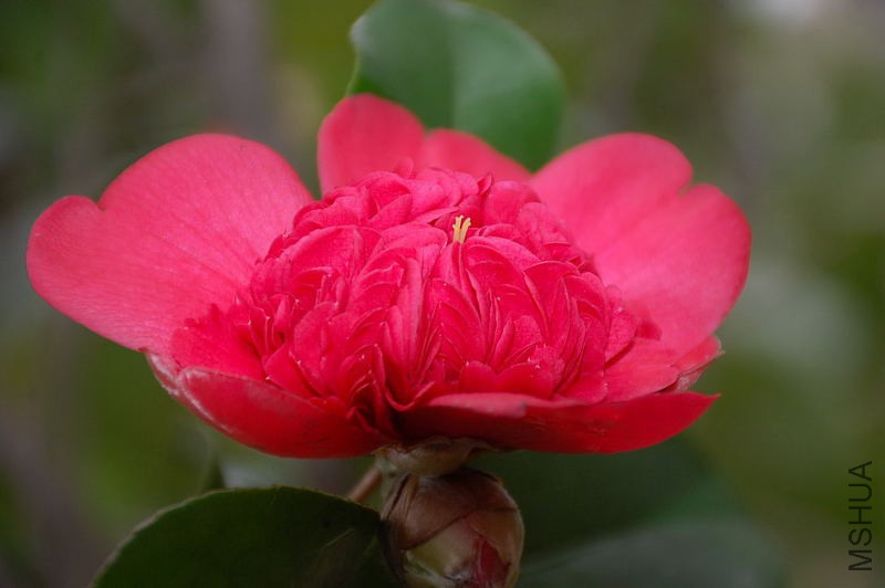 DSC_15410188.JPG