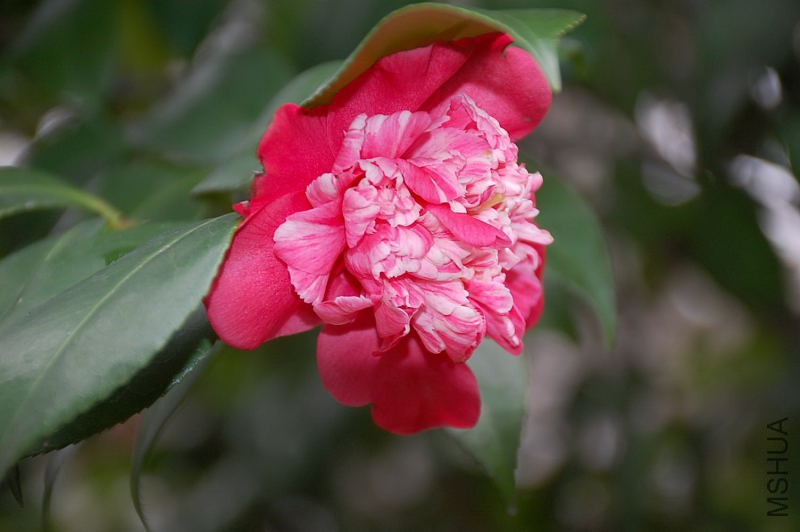 DSC_16320279.JPG