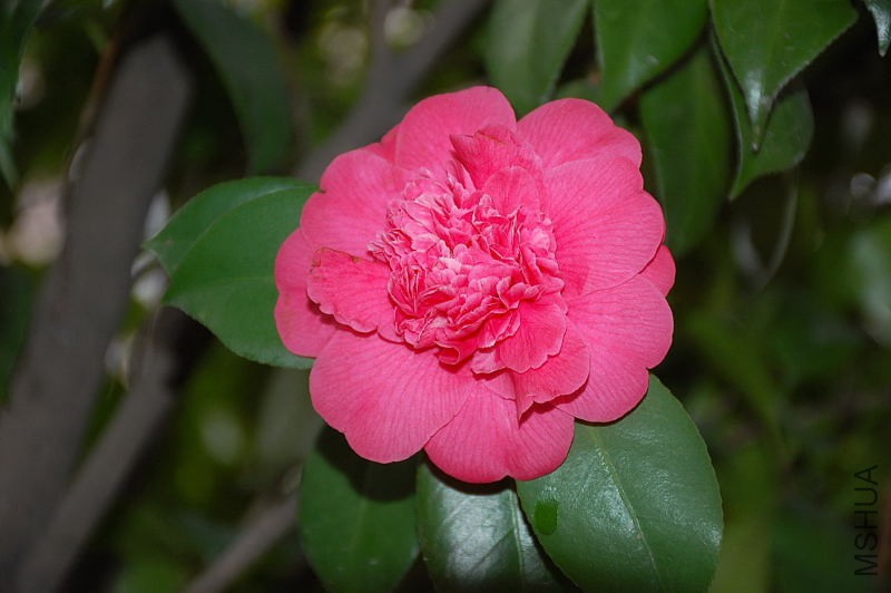DSC_16270274.JPG