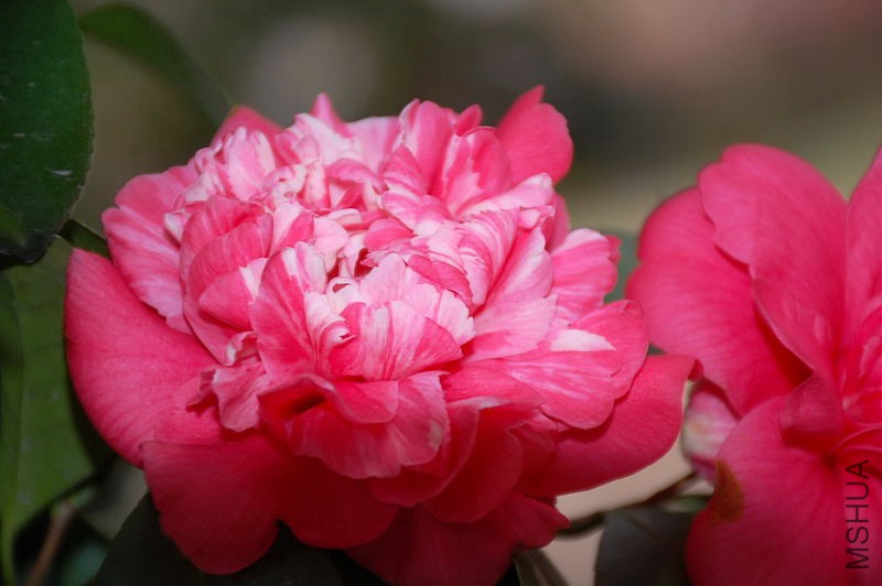 DSC_16160263.JPG