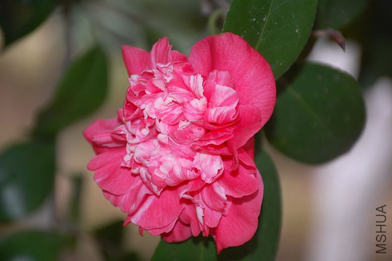 DSC_16070254.JPG