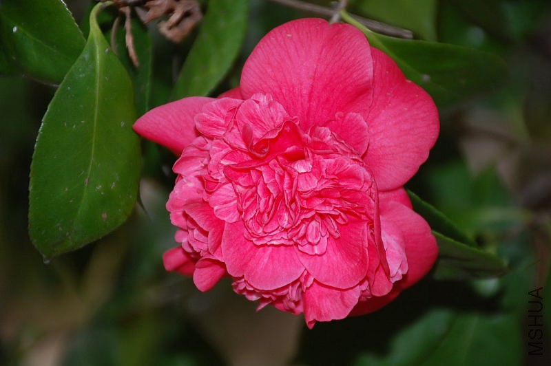 DSC_16040251.JPG