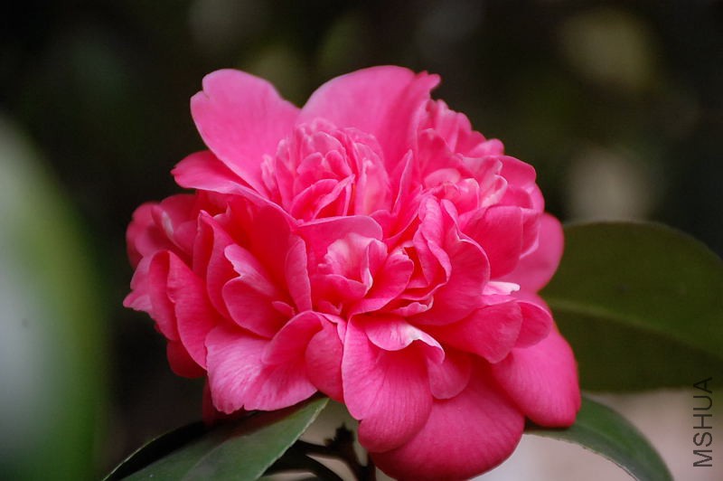 DSC_15840231.JPG