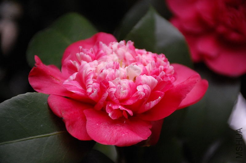 DSC_15640211.JPG