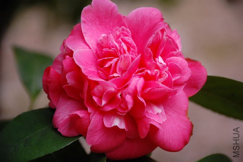 DSC_15690216.JPG