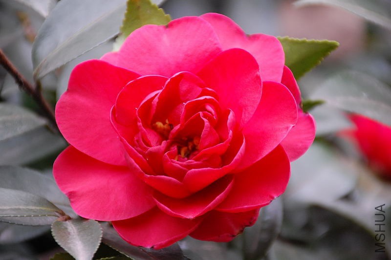 DSC_14540101.JPG