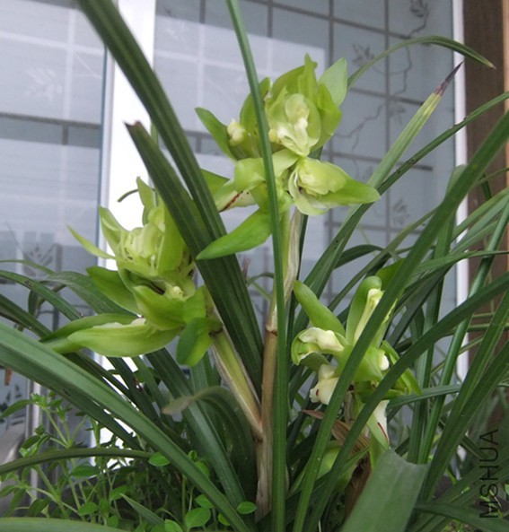 DSCF5277_����.jpg