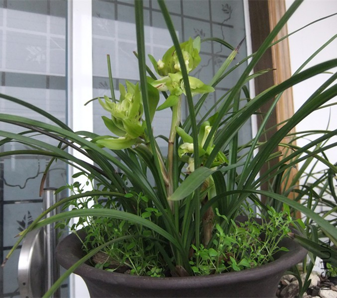 DSCF5281_����.jpg