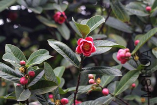 IMG_3797.JPG