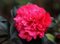 IMG_3806.JPG