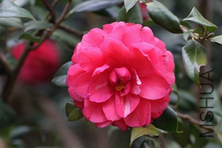 IMG_3812.JPG