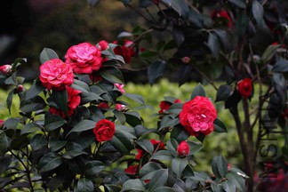 IMG_3850.JPG