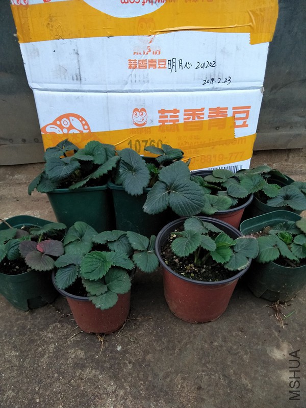 IMG20180223180010_����.jpg