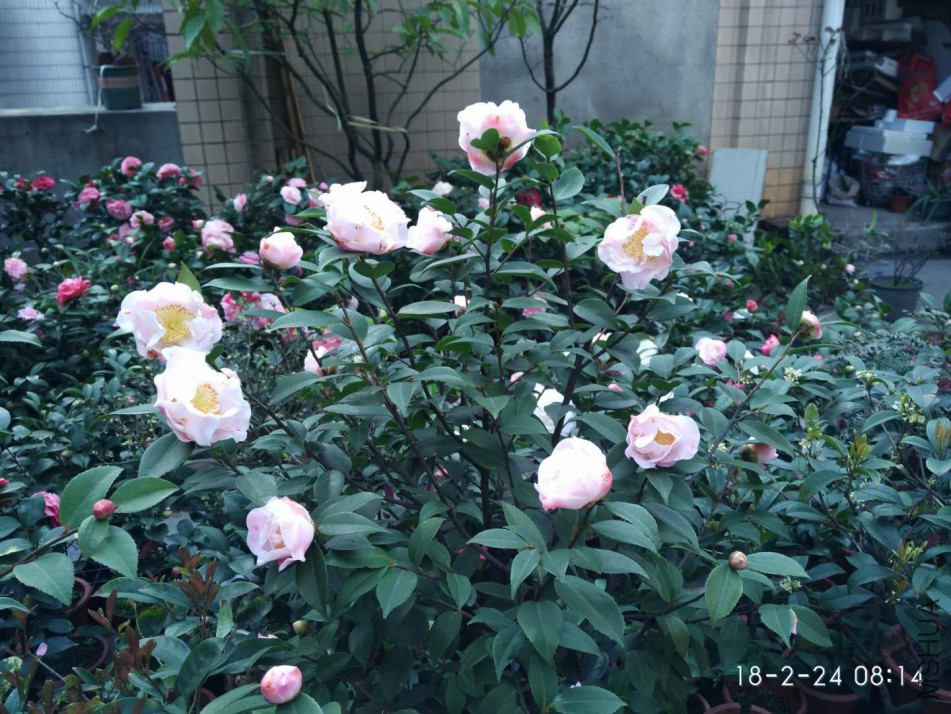 ΢��ͼƬ_20180224131008.jpg