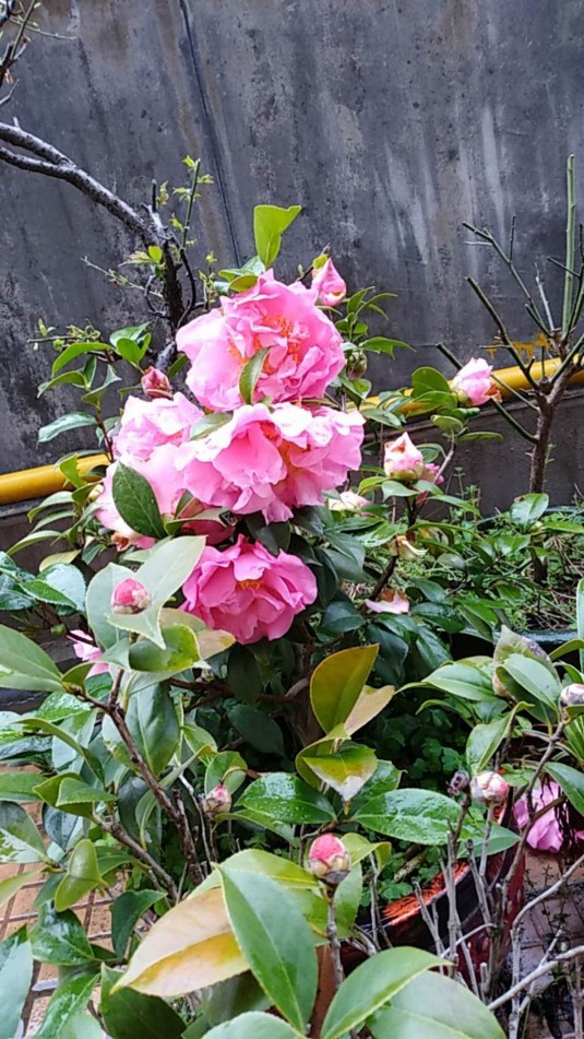 ΢��ͼƬ_20180225173150.jpg