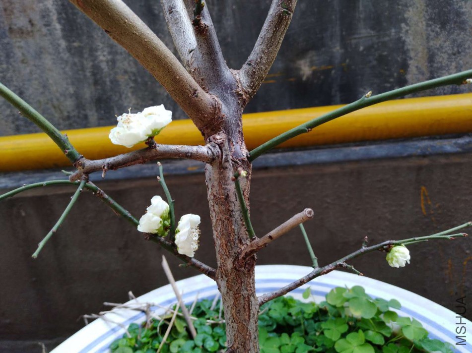 ΢��ͼƬ_20180225173251.jpg