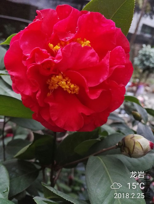 IMG_20180225_174046_����.jpg