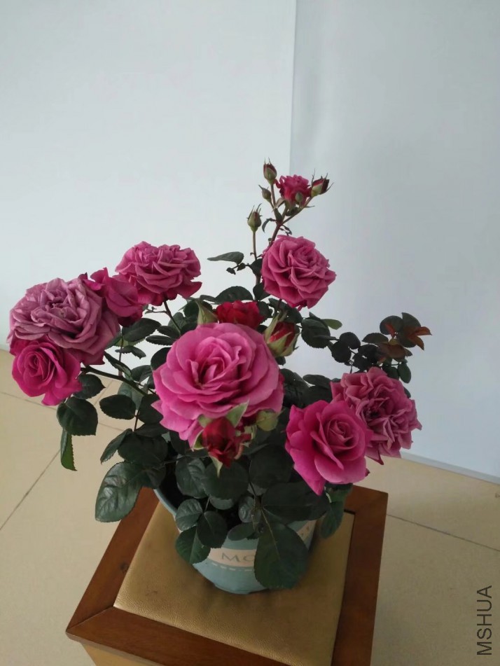 psb (1).jpg
