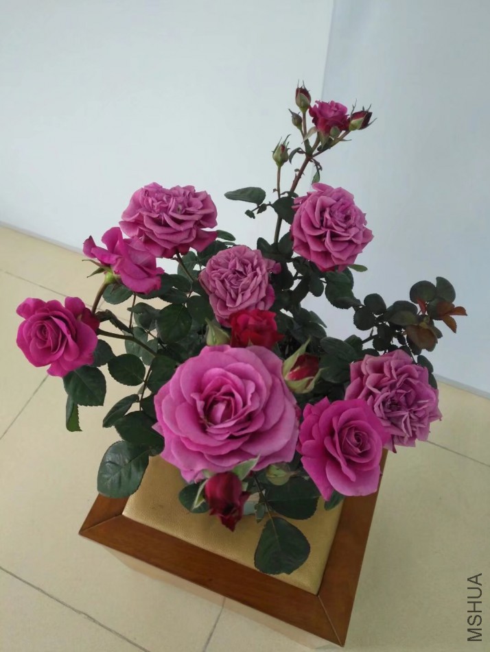 psb (2).jpg