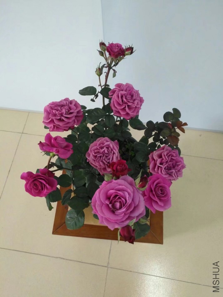 psb (3).jpg