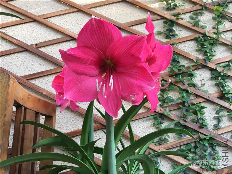 20170614121532959.jpg