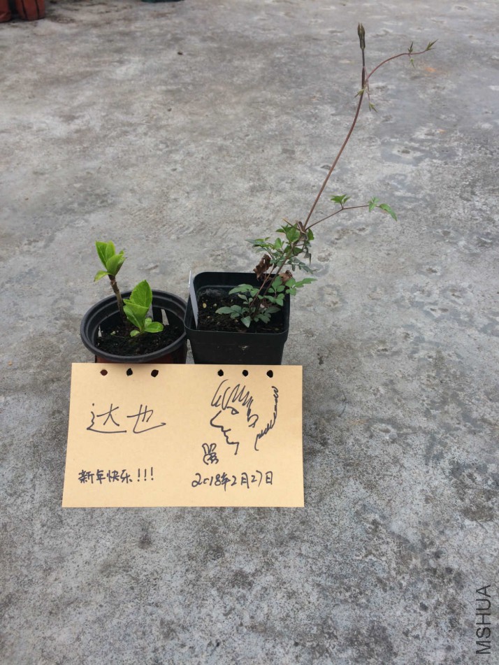 IMG_1208_meitu_1.jpg