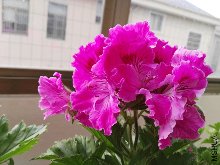 190955jjvu8d8qn68jju76.jpg