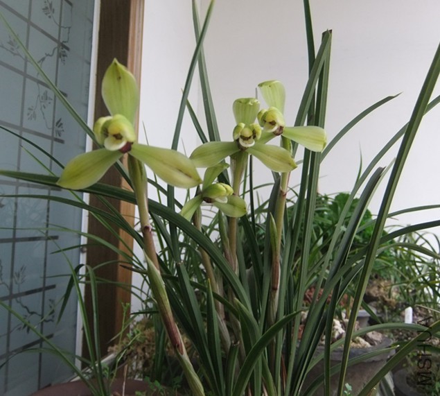 DSCF5289_����.jpg