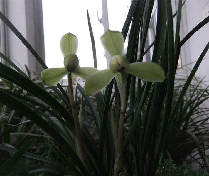 DSCF5301_����.jpg