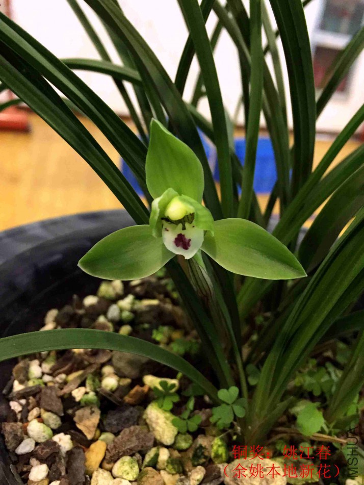 001 (88)_��ͼ��.jpg