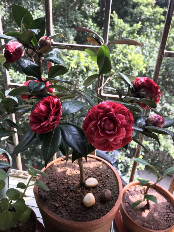΢��ͼƬ_201802281345257.jpg