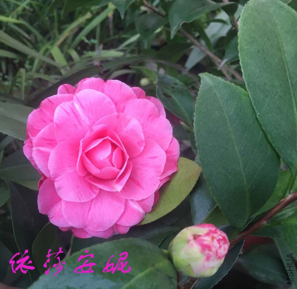2018-3-1 (4)aa����.jpg