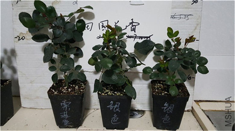20180228_233331.jpg
