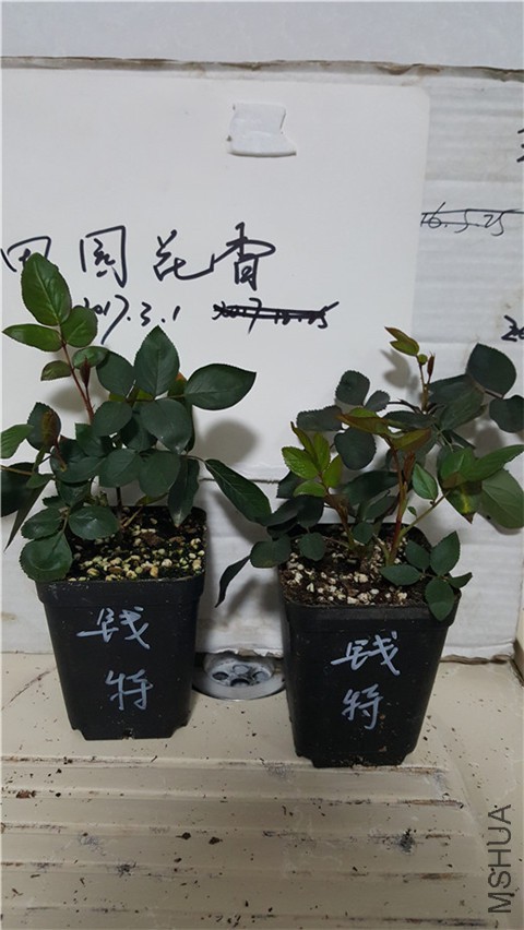 20180228_233653.jpg